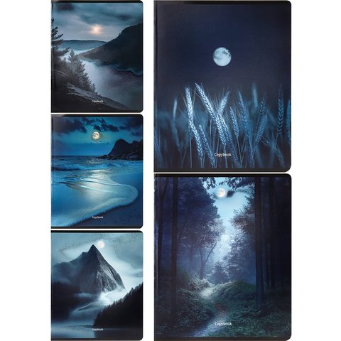 тетрадь 48л Лунные пейзажи клетка 5587