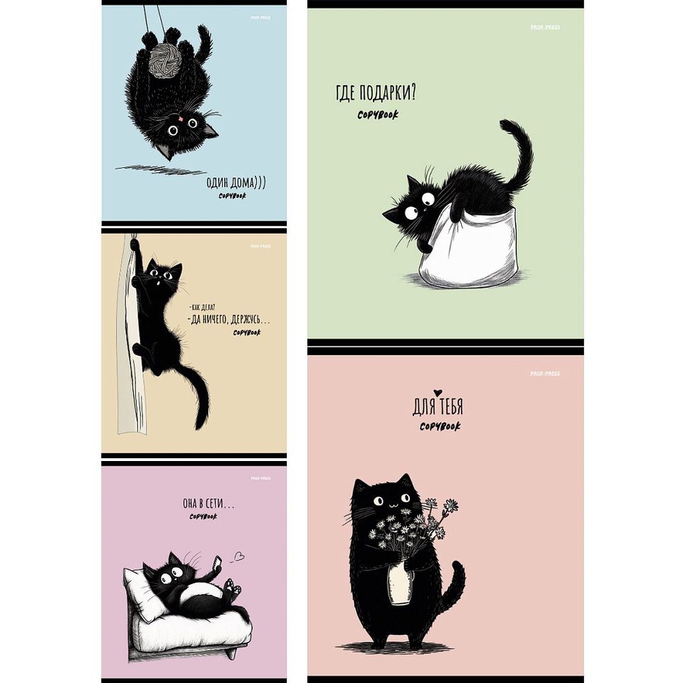 тетрадь 48л Черный котенок клетка 4337