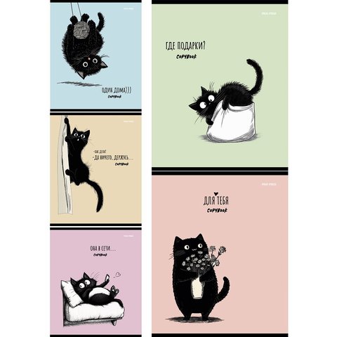 тетрадь 48л Черный котенок клетка 4337