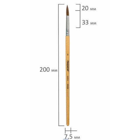 кисть пони №5 школьная круглая Пифагор 200834