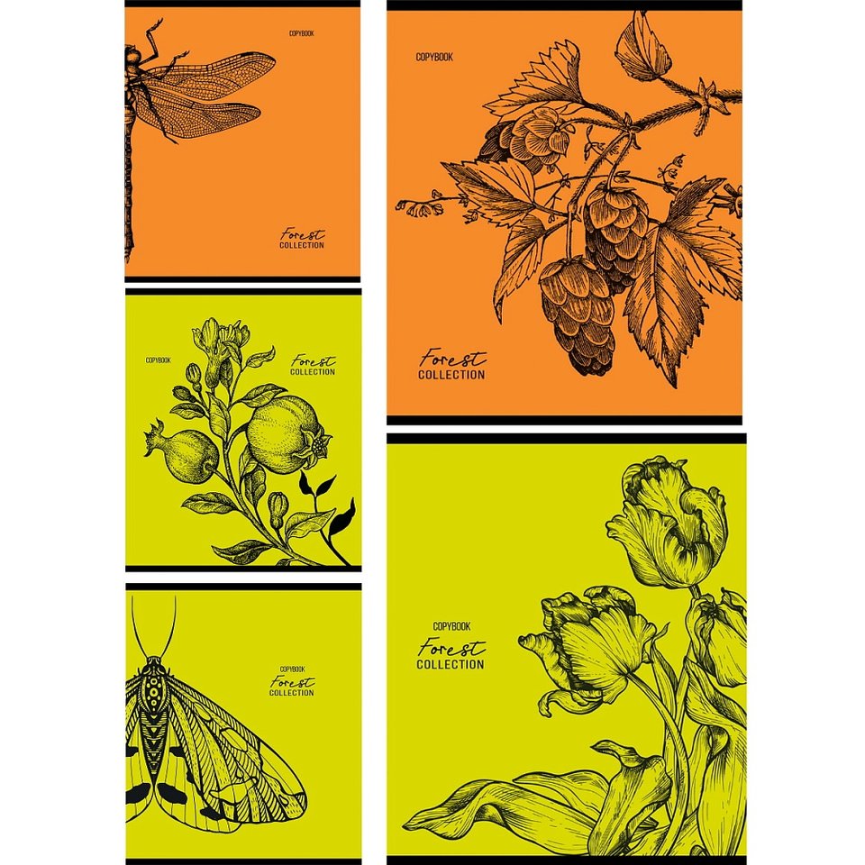 тетрадь 96л Зарисовки природы клетка 9991