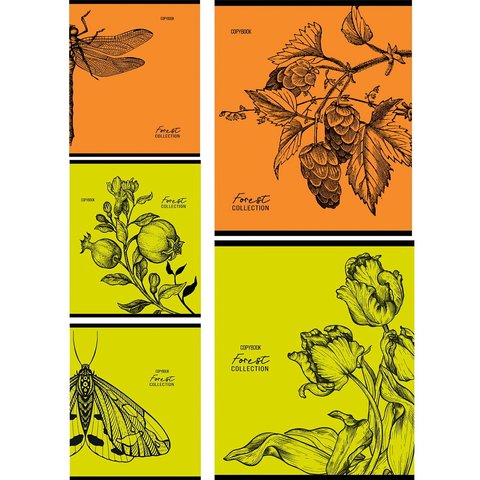 тетрадь 96л Зарисовки природы клетка 9991