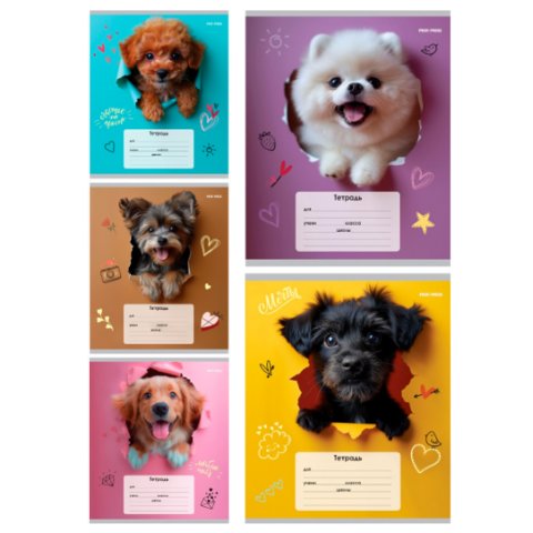 тетрадь 18л Обаятельные песики клетка 4310