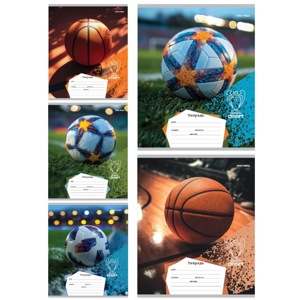 тетрадь 18л Разные мячи клетка 4313