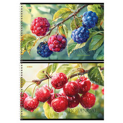 альбом для рисования 32л Botanical гребень 08638 378708