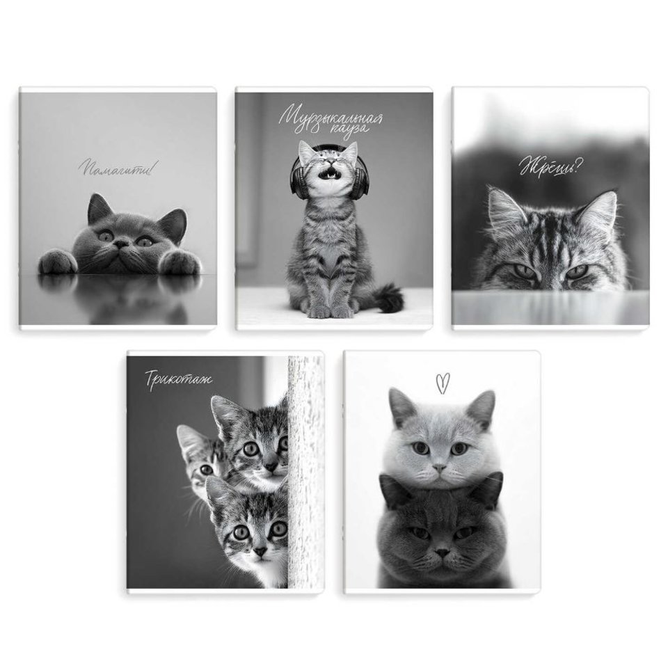 тетрадь 48л Монохромные коты клетка 70920