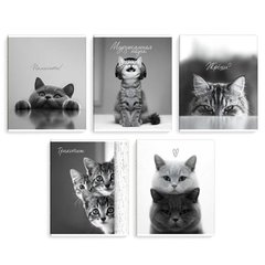 тетрадь 48л Монохромные коты клетка 70920