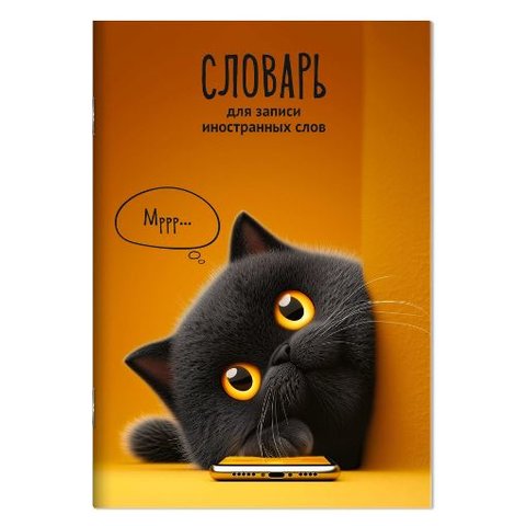 тетрадь-словарик 24л для записи иностранных слов Кот с телефоном А5 73203
