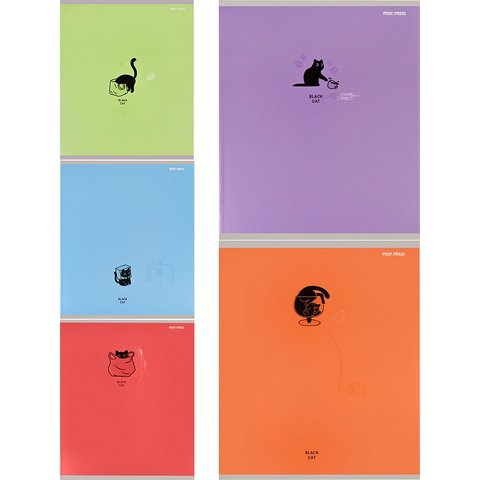 тетрадь 48л Black cat клетка 8841