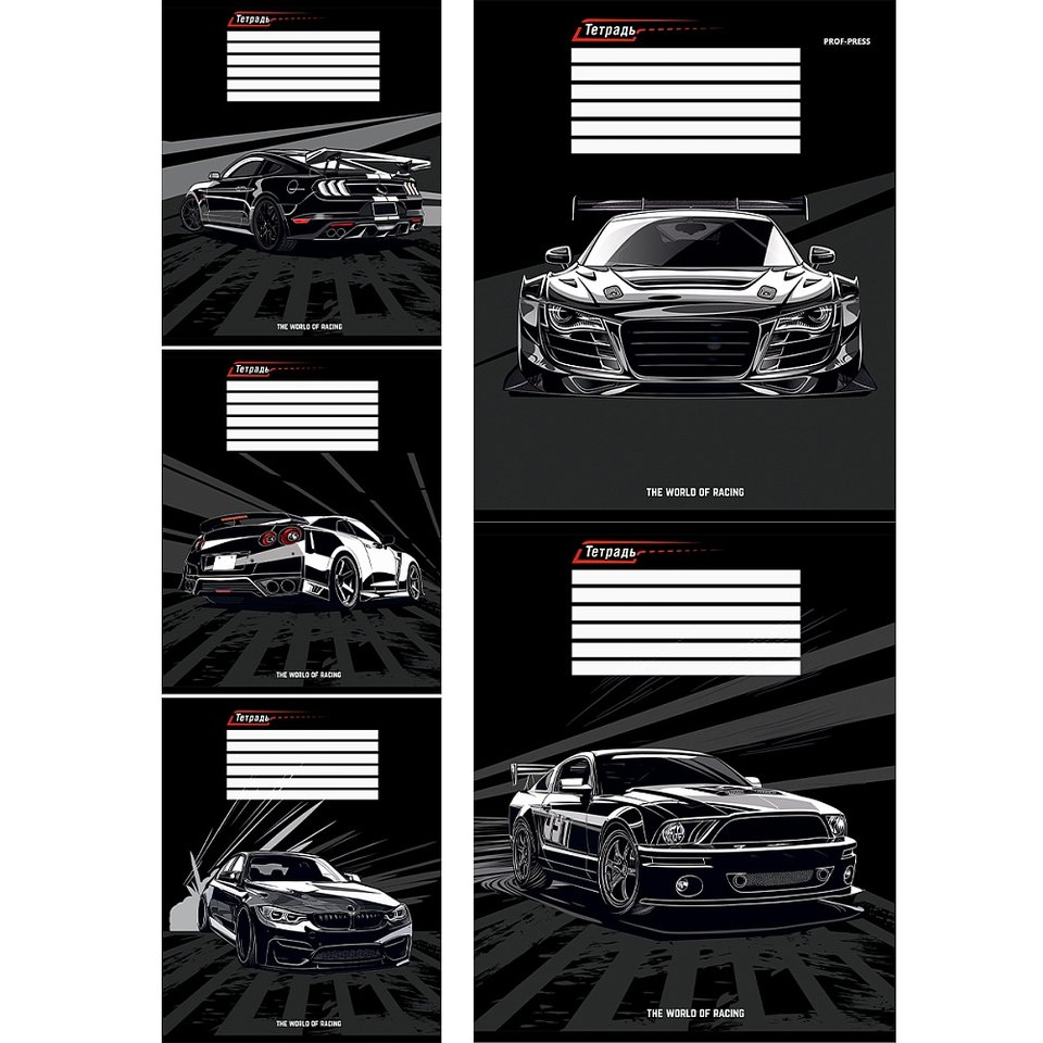 тетрадь 12л Авто косая 2313