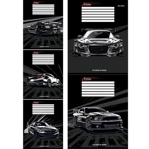 тетрадь 12л Авто косая 2313