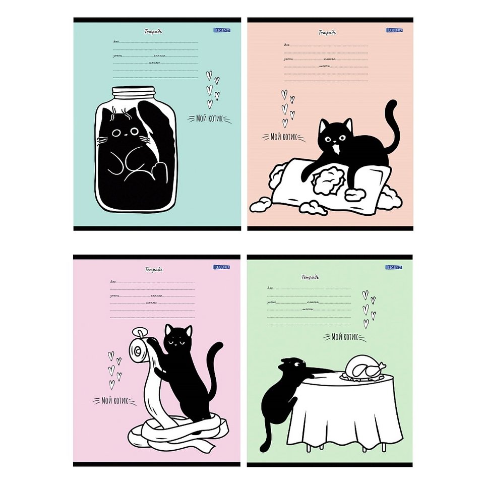 тетрадь 12л Озорной черный кот косая 4158