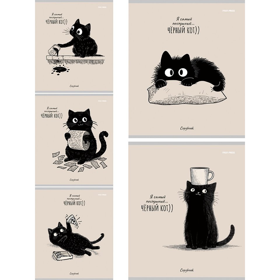 тетрадь 48л Послушный черный кот клетка 4334