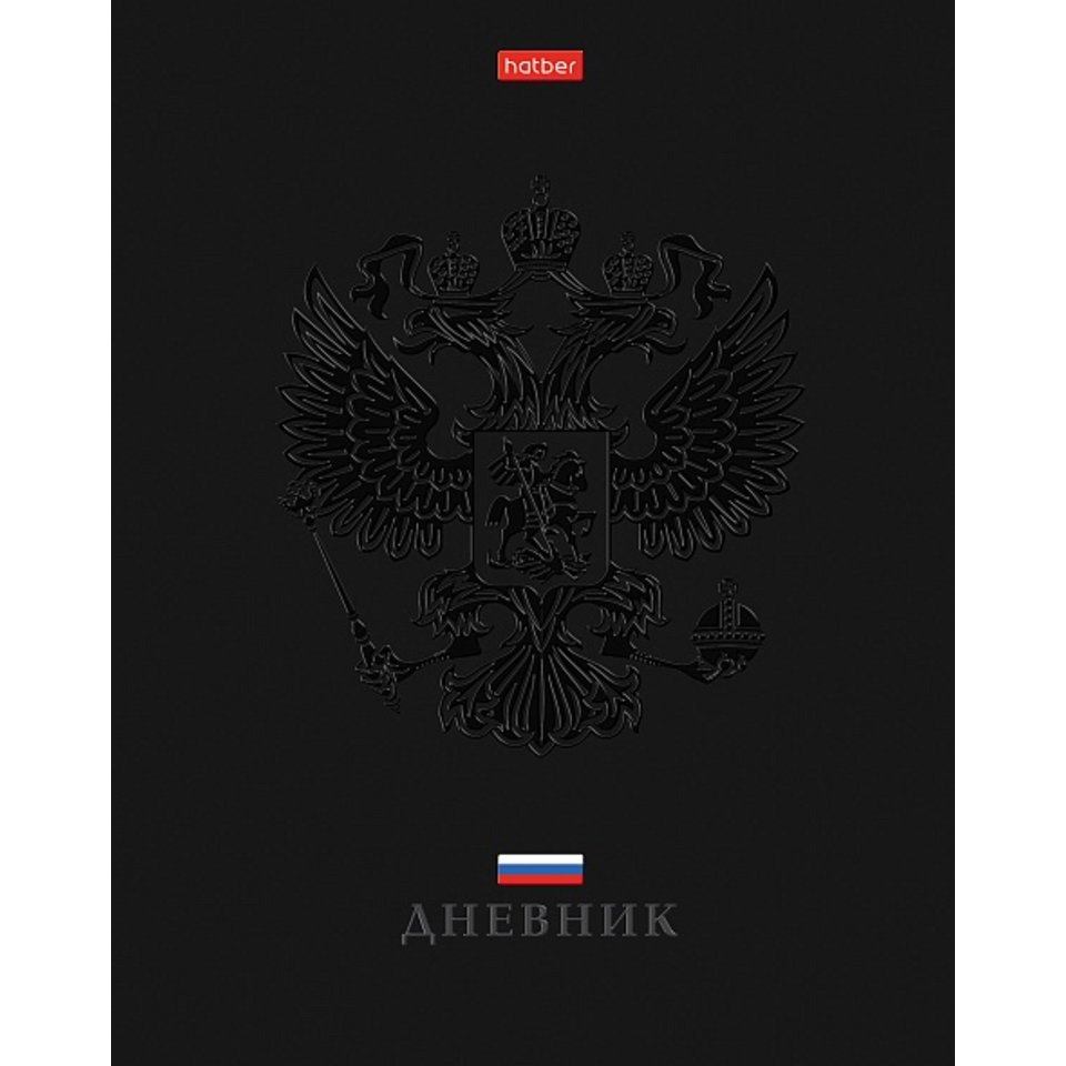 дневник 1-11кл Россия 30989 094942