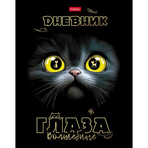 дневник 1-11кл Волшебные глаза 31735 095027