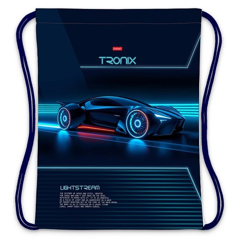 сумка для обуви Троникс 36х47см 18052 093909