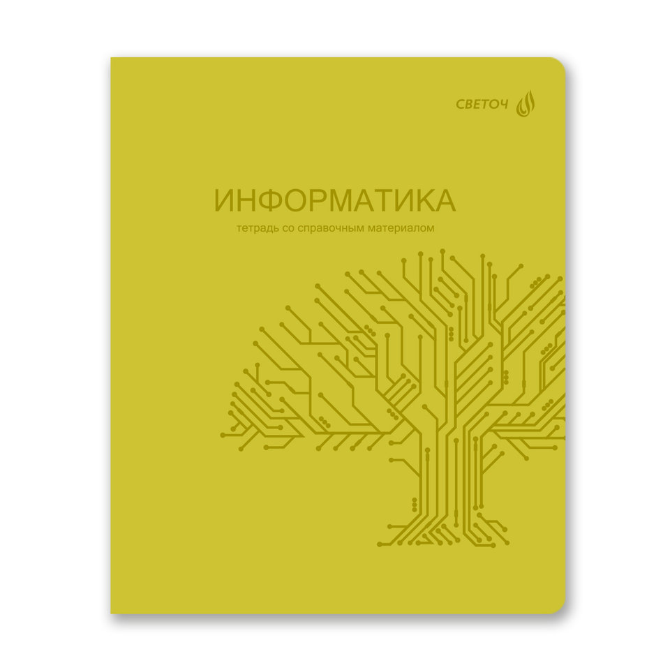 тетрадь предметная 48л Информатика Яркость пластиковая обложка 01867