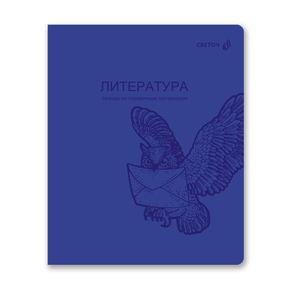 тетрадь предметная 48л Литература Яркость пластиковая обложка 01869