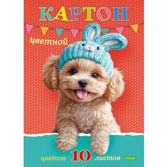 цветной картон набор 10 листов 10 цветов немелованный односторонний папка 36140 095721 Хатбер
