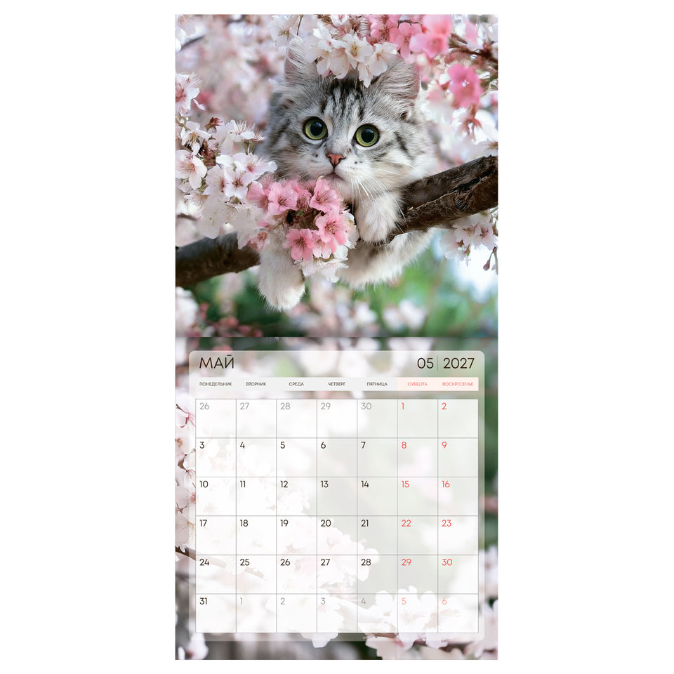 календарь настенный 12 листов 23х23 Котики 39043 2027г