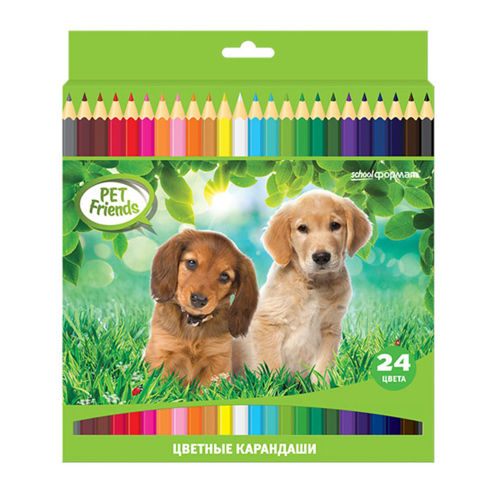 цветные карандаши 24 цвета SchoolФормат Любимые питомцы Шестигранные
