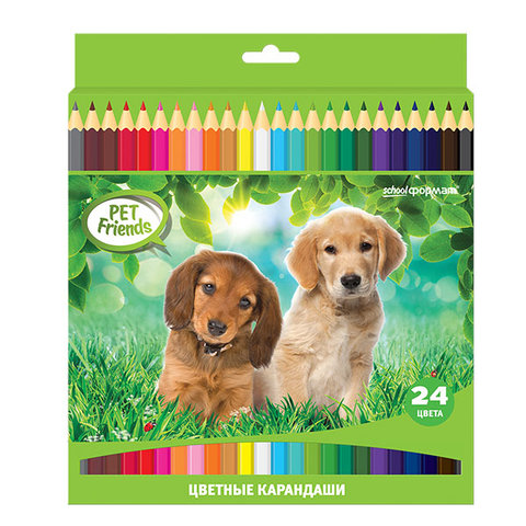 цветные карандаши 24 цвета SchoolФормат Любимые питомцы Шестигранные